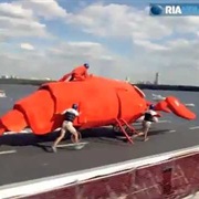 Lobster Flutag Ready for Launch