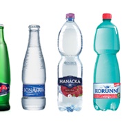 Czech Mineral Water