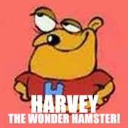 Harvey the Wonder Hamster