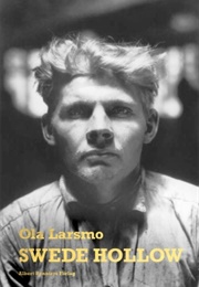 Swede Hollow (Ola Larsmo)