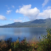 Lake Quinault