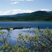 Vega State Park, Colorado