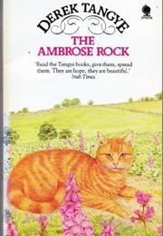 The Ambrose Rock