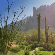 Apache Junction - 35,838