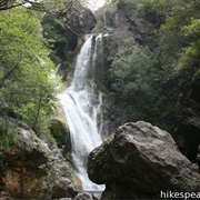 Salmon Creek California