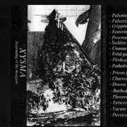 Xysma - Swarming of the Maggots