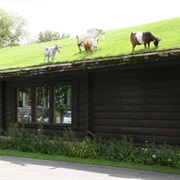 Al Johnson's Swedish Restaurant