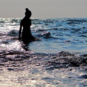 Swimming in the Ocean