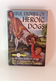 True Stories of Heroic Dogs (George Watson Little)