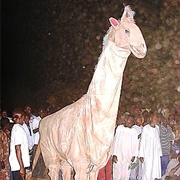 The Coming Forth of the Masks and Puppets, Mali