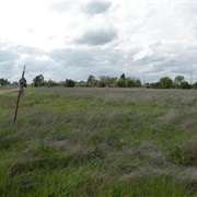 Vineyard, California