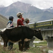 Beijing to Lhasa on the Trans-Tibetian Railway