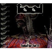 Tool - Schism (Justin Chancellor)