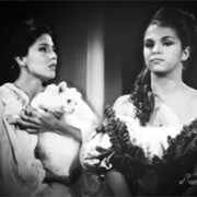 Eu Compro Esta Mulher