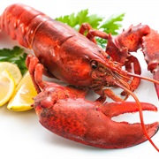 Try Lobster