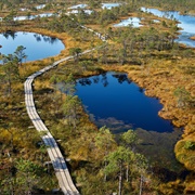 Ķemeri National Park, Latvia
