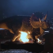 Triceratops