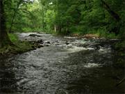 Mt. Holly Springs, Pennsylvania