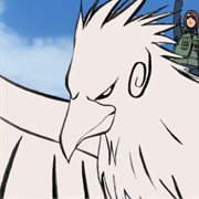 Super Beast Drawing Hawk