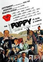 Danger Goes Wild (1966)