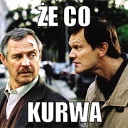 To Speak Polish Fluently