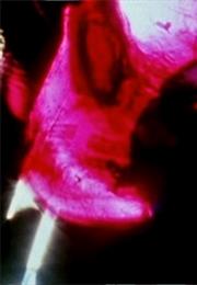 The Dark Tower (Stan Brakhage, 1999)