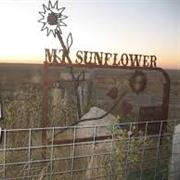 Mt. Sunflower, Kansas