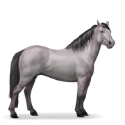 Quarter Pony - Mouse Gray