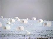 Snow Rollers