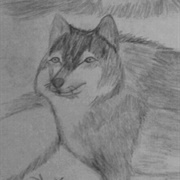 Timbet Wolf Angelina Jensen