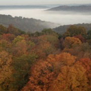 Harrison Crawford State Forest, Indiana