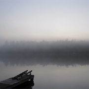 Fog on the Lake