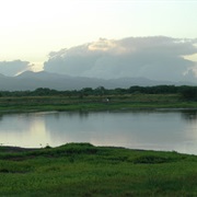 Pearl Harbor National Wildlife Refuge