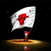 Go to a Chicago Bulls Game