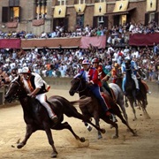 Il Palio, Siena, Italy