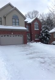 The House Behind the Cedars (Charles Chestnut)