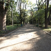Parque Piqueri