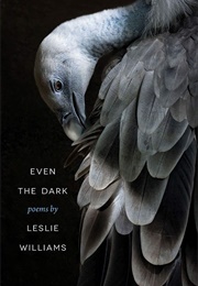 Even the Dark (Leslie Williams)