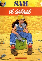 Sam (Jan Bosschaert)