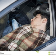 Live in a Car in the Wilderness (Surrounded by Wild Wolves)