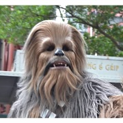 Meet Chewbacca