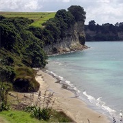 Long Bay Walk, Auckland