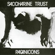 Saccharine Trust: Paganicons