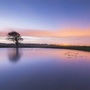 Ditchling Beacon (NT)