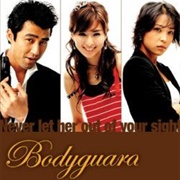 Bodyguard (2003)