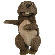 Beaver Puppet - The Beaver
