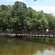 Martin Creek Lake State Park, Texas