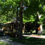 Trolley Tours in Fort Collins