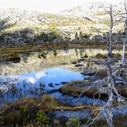 Lomsdal–Visten National Park