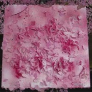 Planning for Burial - Leaving